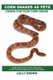 Corn Snakes as Pets - Corn Snake Facts, Care, Breeding, Nutritional Information, Tips, and More! Caring for Your Corn Snake...