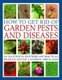 How to Get Rid of Garden Pests and Diseases - An illustrated identifier and practical problem solver (Paperback): Andrew...