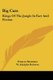 Big Cats - Kings Of The Jungle In Fact And Fiction (Paperback): Frances Brentano
