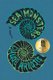 Sea Monsters (Hardcover): Chloe Aridjis