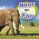 Near or Far (Paperback): Wiley Blevins