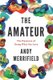 The Amateur - The Pleasures of Doing What You Love (Paperback): Andy Merrifield