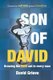 Son of David - Drawing the king out in every man (Paperback): Jeff Voth