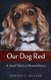 Our Dog Red - A Small Token of Remembrance (Hardcover): Edward C. Sellner