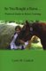 So You Bought a Horse. Practical Guide to Horse Training (Paperback): Lynne M. Caulkett