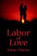 Labor of Love (Paperback): Arlene J. Warner