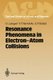 Resonance Phenomena in Electron-Atom Collisions (Paperback, Softcover reprint of the original 1st ed. 1992): Vladimir I....