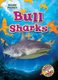 Bull Sharks (Hardcover): Rebecca Pettiford