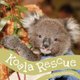 Koala Rescue (Paperback): Kirsty Parkinson