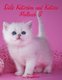 Susse Katzchen und Katzen Malbuch 3 (German, Paperback): Nick Snels
