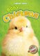 Baby Chickens (Hardcover): Megan Borgert-Spaniol