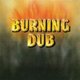 Revolutionairies - Burning Dub (Vinyl record): Revolutionairies