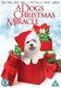 A   Dog's Christmas Miracle (DVD): Cynthia Gibb, Greg Evigan, Kendall Ryan Sanders, Ashley Leggat, Lesley-Anne Down,...