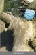 COVID Confinement, Or Much A Flu About Muffin (Paperback): Gregory Ferris