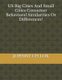 US Big Cities And Small Cities Consumer Behavioral Similarities Or Differences? (Paperback): Johnny,C.H. LOK