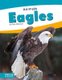 Animals: Eagles (Hardcover): Nick Rebman