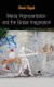 Media Representation and the Global Imagination (Hardcover): S Orgad