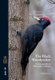 The Black Woodpecker - A Monograph on Dryocopus Martius (Hardcover, 1): Gerard Gorman
