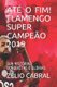 Ate O Fim! Flamengo Super Campeao 2019 - Sua Historia, Conquistas E Glorias (Portuguese, Paperback): Zelio Cabral