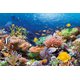 Castorland Coral Reef Puzzle (1000 Pieces): 