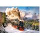 Castorland Steam Train Puzzle (1000 Pieces): 