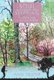 Soul Stepping: Ten Divine Games to Play While Walking (Hardcover): Ann Trump