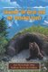 Curiosity the Bear and the Popcorn Party - And Thirty-Eight Other Bedtime Stories for Children (Paperback): Dennis D Austin