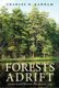 Forests Adrift - Currents Shaping the Future of Northeastern Trees (Hardcover): Charles D. Canham