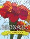 Mosaic Coloring Book (Paperback): Speedy Publishing LLC
