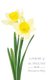 Comfort of the Afflicted - Devotion to Mary (Paperback): Florence Homolka