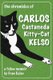 The Chronicles of Carlos Castaneda Kitty Cat Kelso - A feline memoir (Paperback): Katherine Hocker