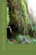 Tales of Wisdom - Pages of Wisdom, The Farm, Guardians, The Hand of the Bean, and Gun Control (Paperback): James Farrell