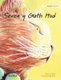 Seren y Gath Hud - Welsh Edition of The Healer Cat (Welsh, Hardcover): Tuula Pere
