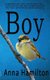 Boy (Paperback): Anna Hamilton