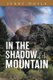 In the Shadow of the Mountain - From the Shadow of the Mountain in Newfoundland, to the Bright Lights. (Paperback): Jerry Doyle