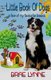 Little Book of Dogs - ... a few of my favourite breeds (Paperback): June Bourgo