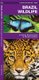 Brazil Wildlife - A Folding Pocket Guide to Familiar Animals (Pamphlet): James Kavanagh, Waterford Press