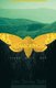 Metamorphosis - Johnny Meets John (Hardcover): John Dewey Stahl