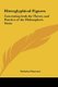 Hieroglyphical Figures - Concerning Both the Theory and Practice of the Philosophers Stone (Hardcover): Nicholas Flammel