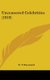 Uncensored Celebrities (1919) (Hardcover): E.T. Raymond