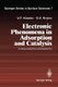 Electronic Phenomena in Adsorption and Catalysis on Semiconductors and Dielectrics (Paperback, Softcover reprint of the...