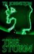 The Storm (Paperback): Ty Johnston