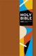 NIV Pocket Brown Soft-tone Bible with Clasp (new edition) (Paperback): New International Version