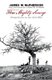 This Mighty Scourge - Perspectives on the Civil War (Paperback): James M Mcpherson