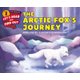 The Arctic Fox's Journey (Paperback): Wendy Pfeffer