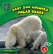 Polar Bears (Paperback): Josh Gregory