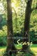 The Unbelievable Scars (Paperback): E. Alan Roberts