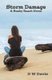 Storm Damage - A Buzby Beach Novel (Paperback): D. W Davis