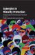Synergies in Minority Protection - European and International Law Perspectives (Hardcover): Kristin Henrard, Robert Dunbar