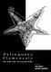 Delinquent Elementals - The Very Best Of Pagan News (Paperback): Phil Hine